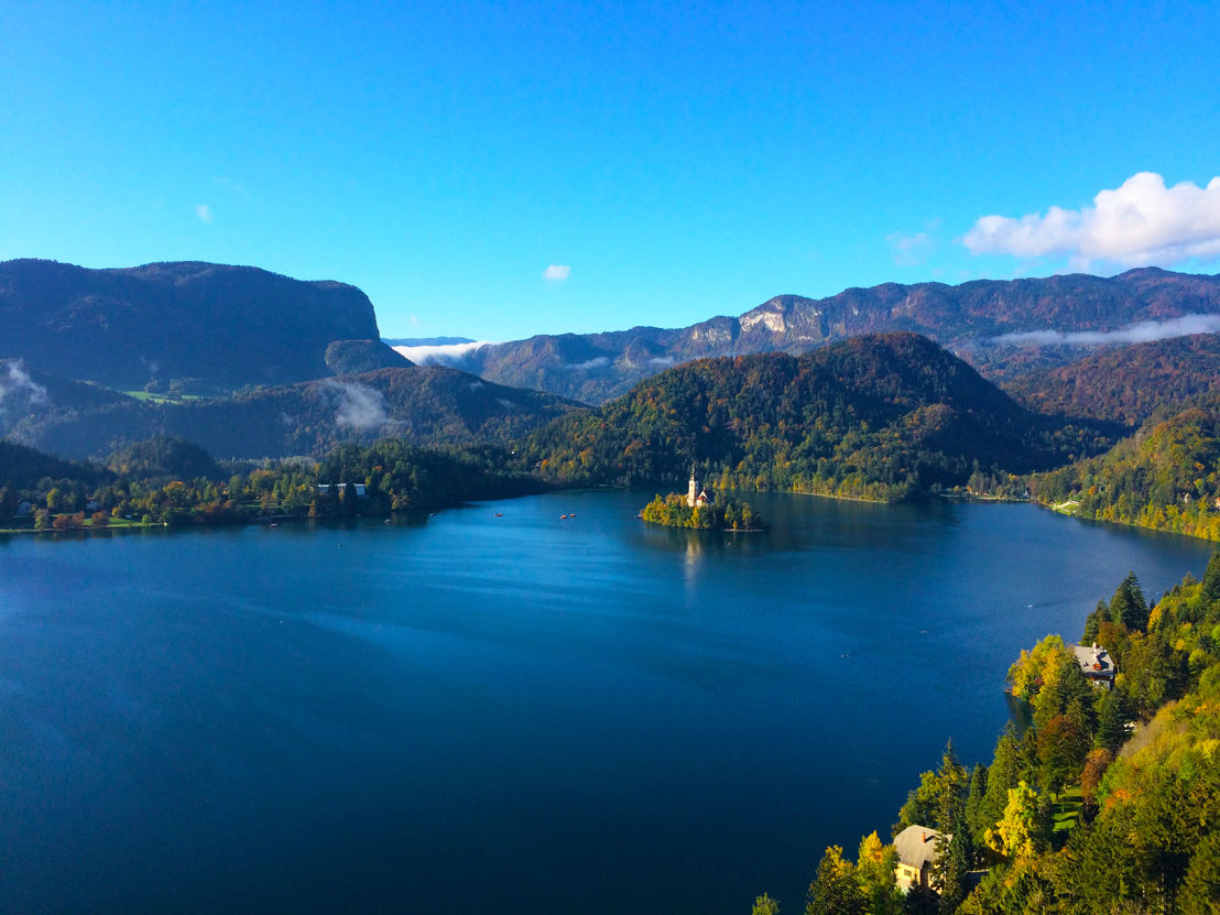 BLED